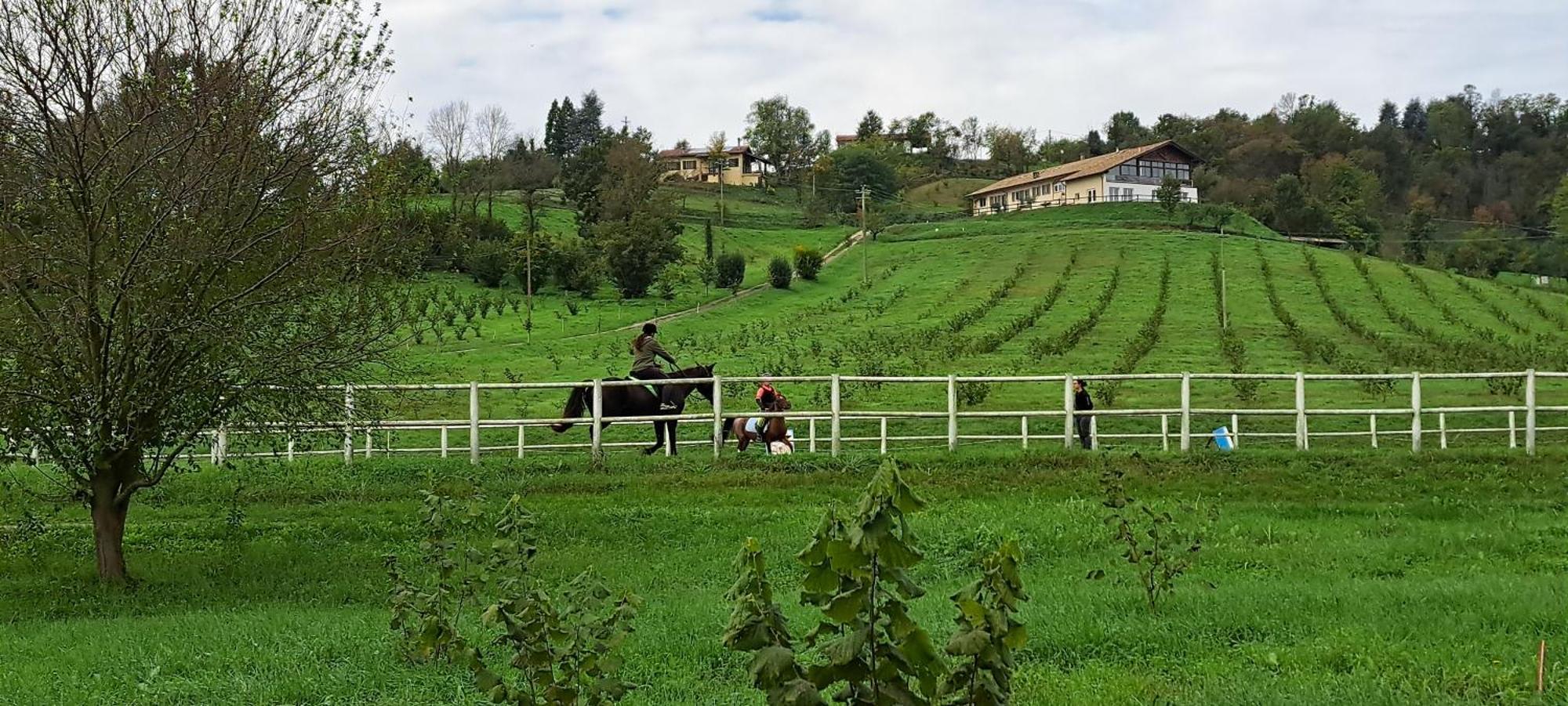 Vila Cascina Fazioli Alfiano Natta Exteriér fotografie