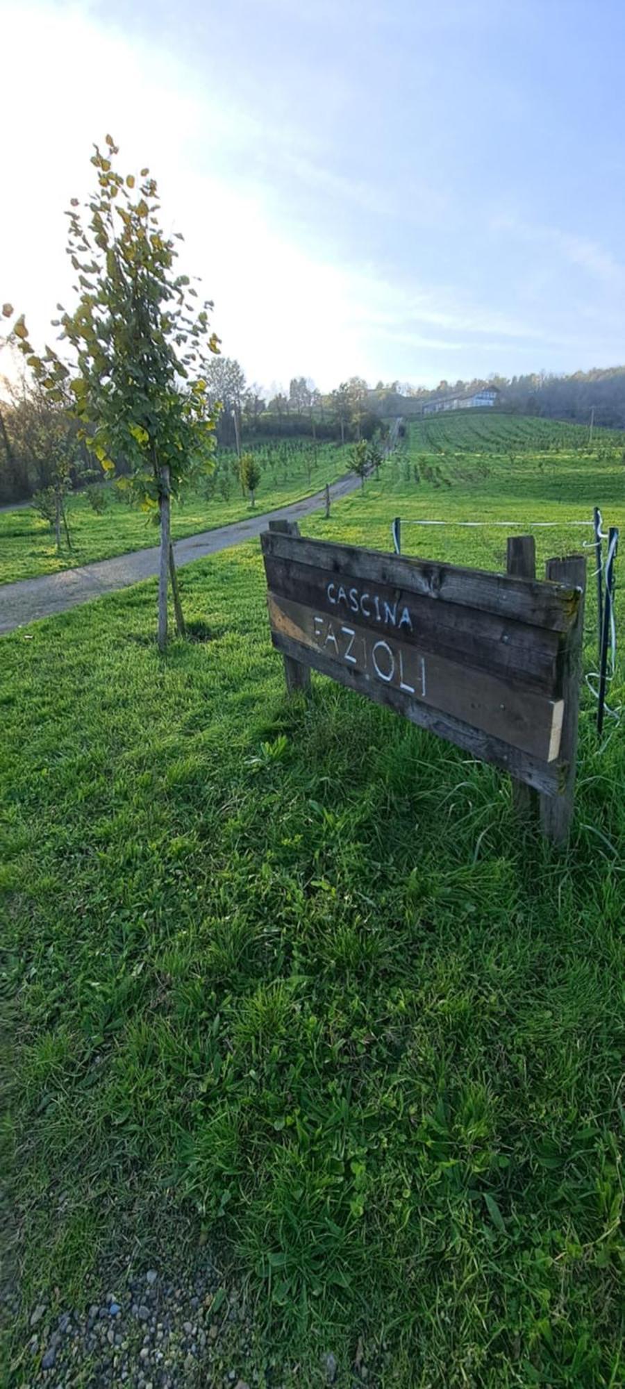 Vila Cascina Fazioli Alfiano Natta Exteriér fotografie